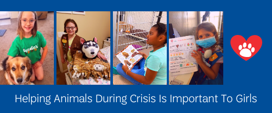 Helping Animals During Crisis Is Important to Girls